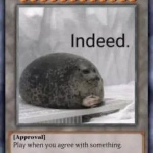 Meet your Posher, Lucas